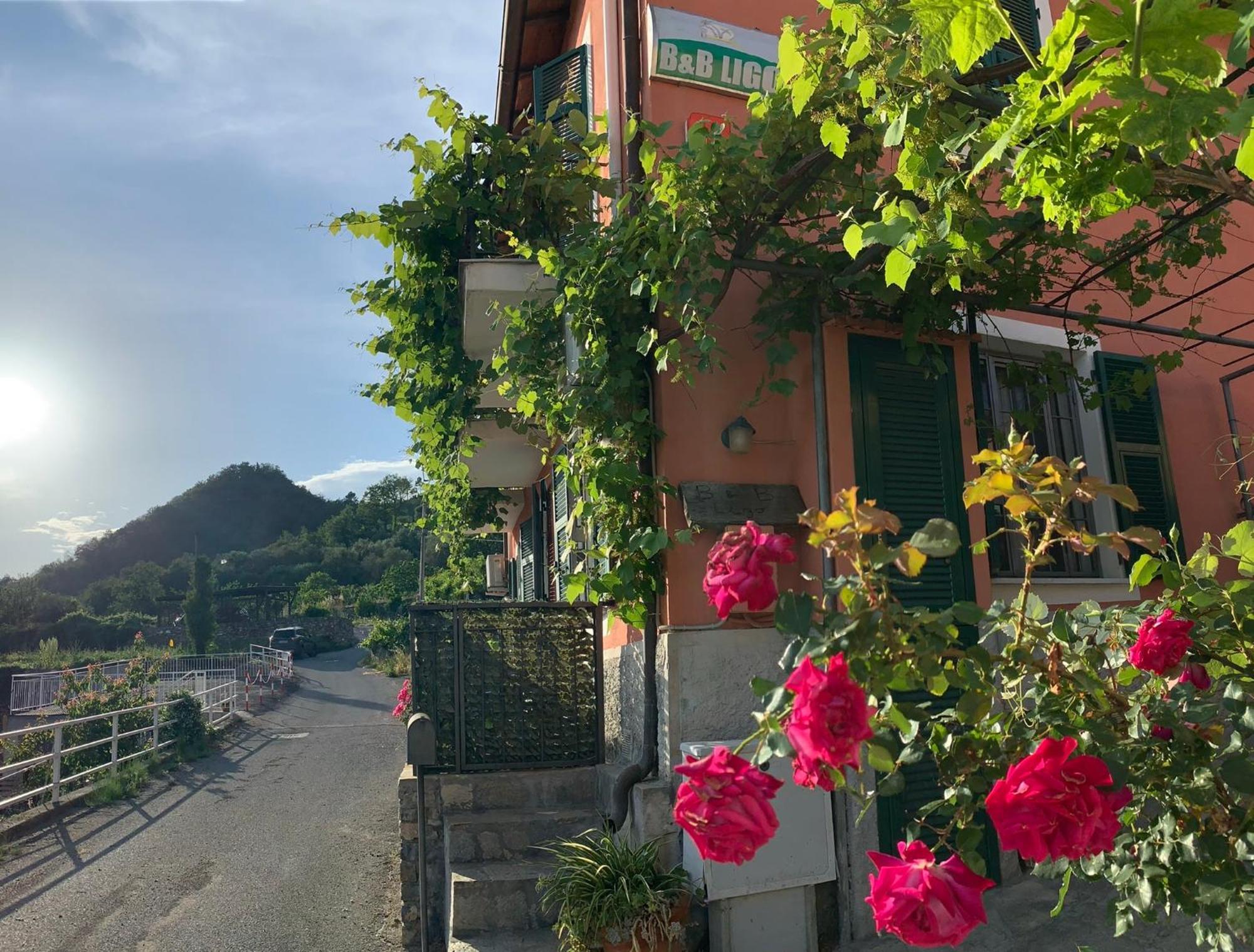 Bed and Breakfast Ligo à Villanova d'Albenga Extérieur photo